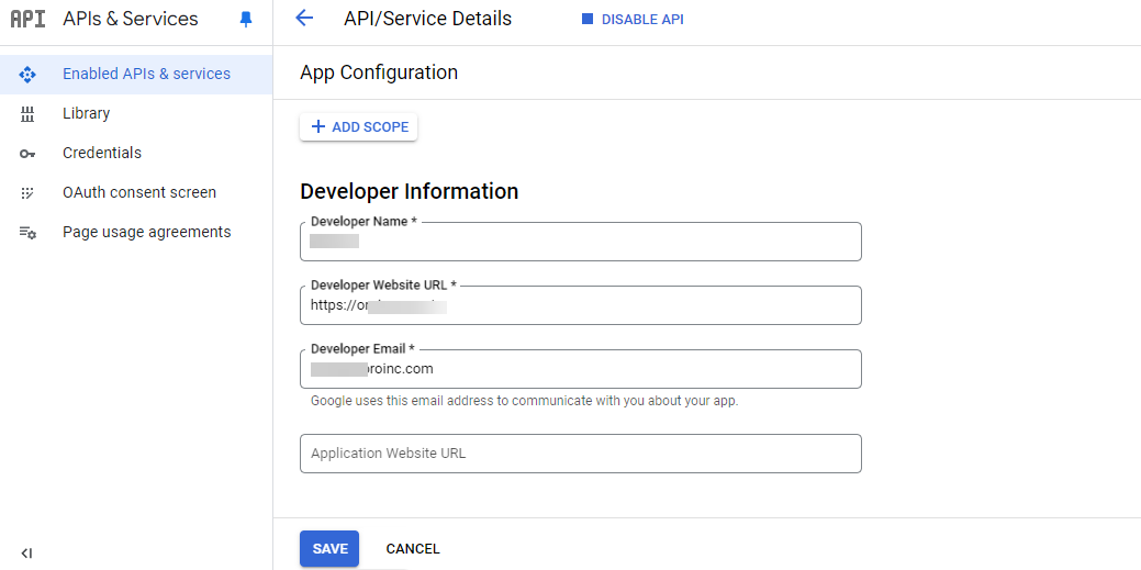 Filling the details under Developer Information