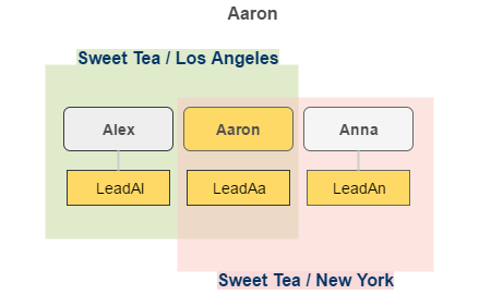 ../../../../../../_images/leads_visibility_aaron.png
