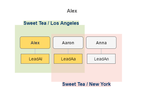 ../../../../../../_images/leads_visibility_alex.png